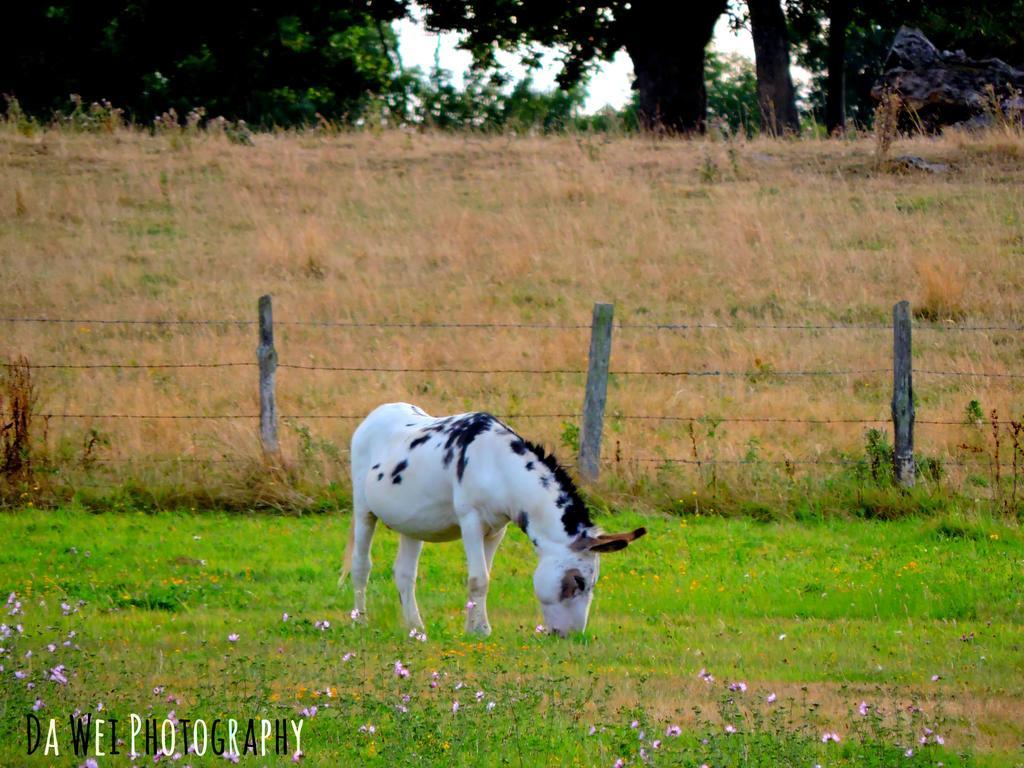 Gite Le Bourgneuf Fresnay-sur-Sarthe Bagian luar foto