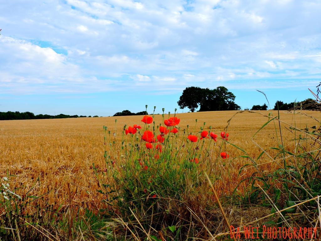 Gite Le Bourgneuf Fresnay-sur-Sarthe Bagian luar foto