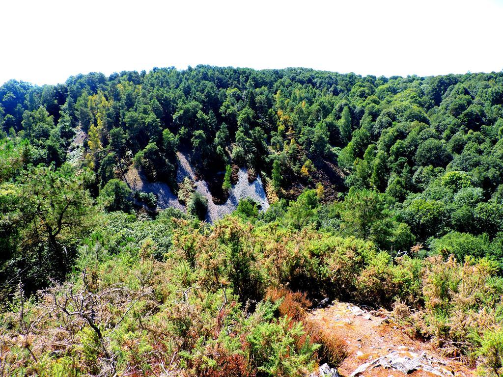 Gite Le Bourgneuf Fresnay-sur-Sarthe Bagian luar foto