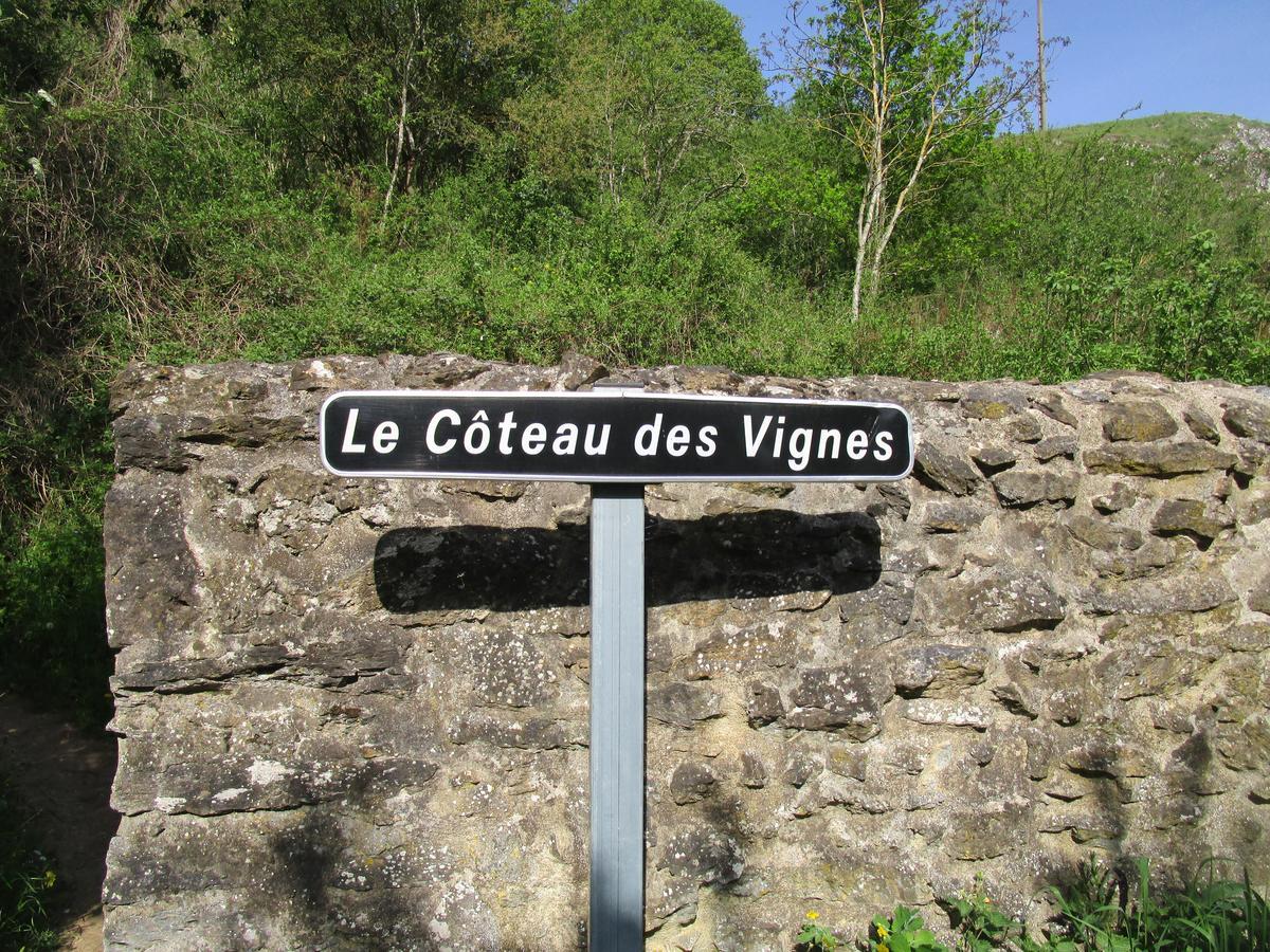 Gite Le Bourgneuf Fresnay-sur-Sarthe Bagian luar foto